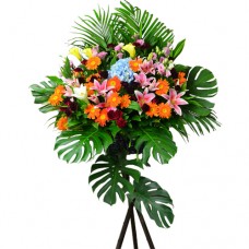 Flower arrangement for Grand Opening